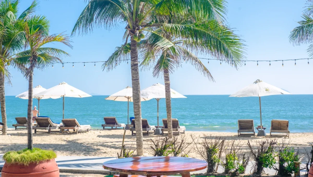 thưởng thức bia thủ công với view biển