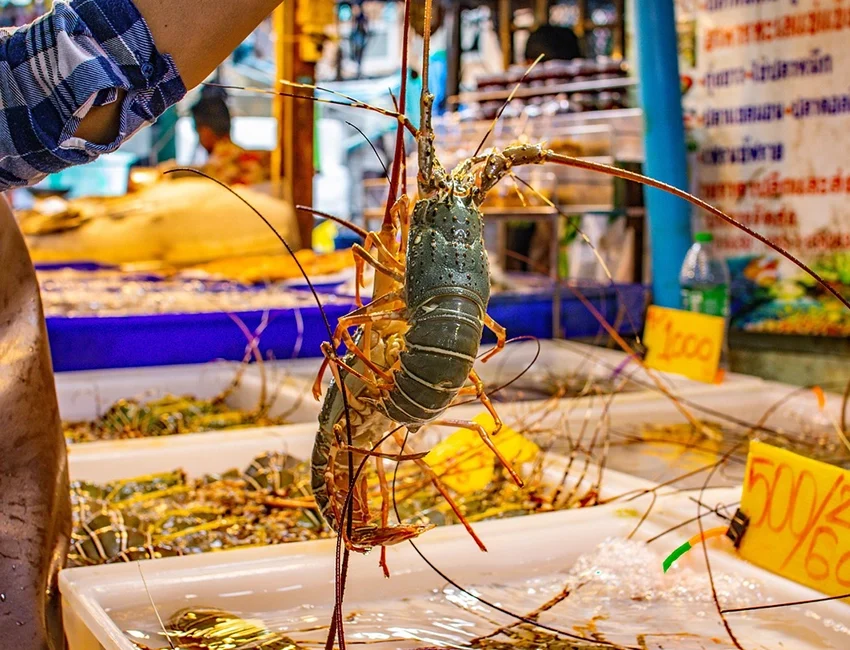Улица морепродуктов Нячанг11